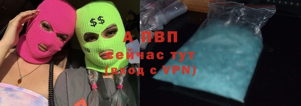 прущая мука Дмитриев