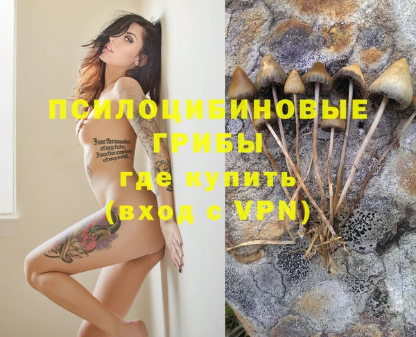 MDMA Premium VHQ Михайловка