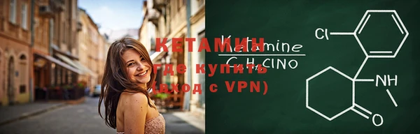 прущая мука Дмитриев