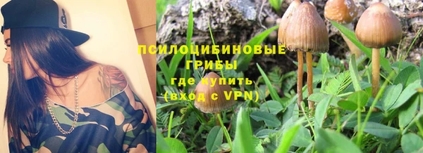 прущие крисы Дмитровск