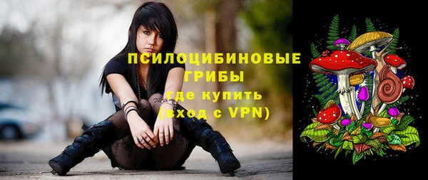 MDMA Premium VHQ Михайловка
