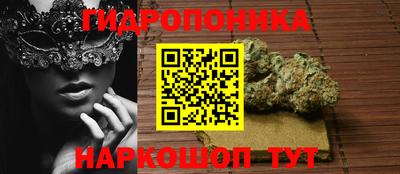 индика Берёзовский