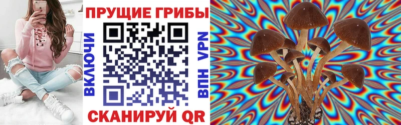 Галлюциногенные грибы мицелий  Десногорск 