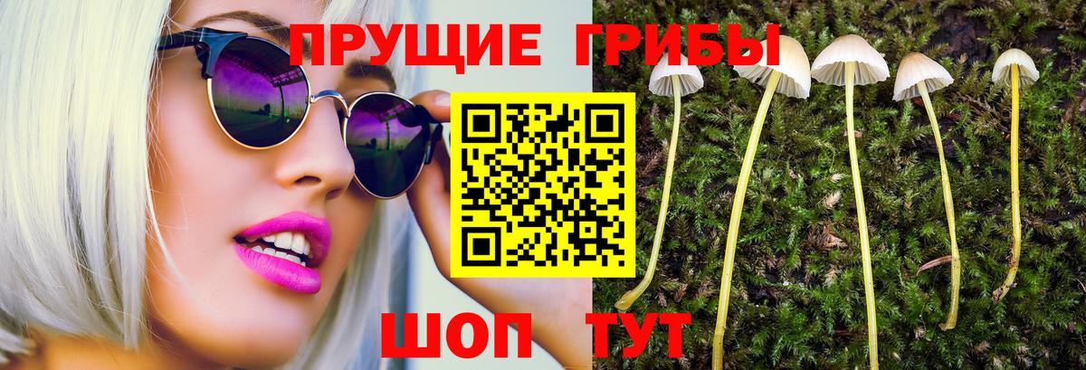 Лсд 25 Десногорск